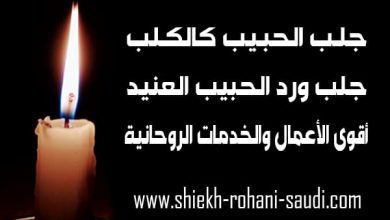 جلب الحبيب كالكلب