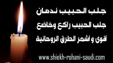 جلب الحبيب ندمان
